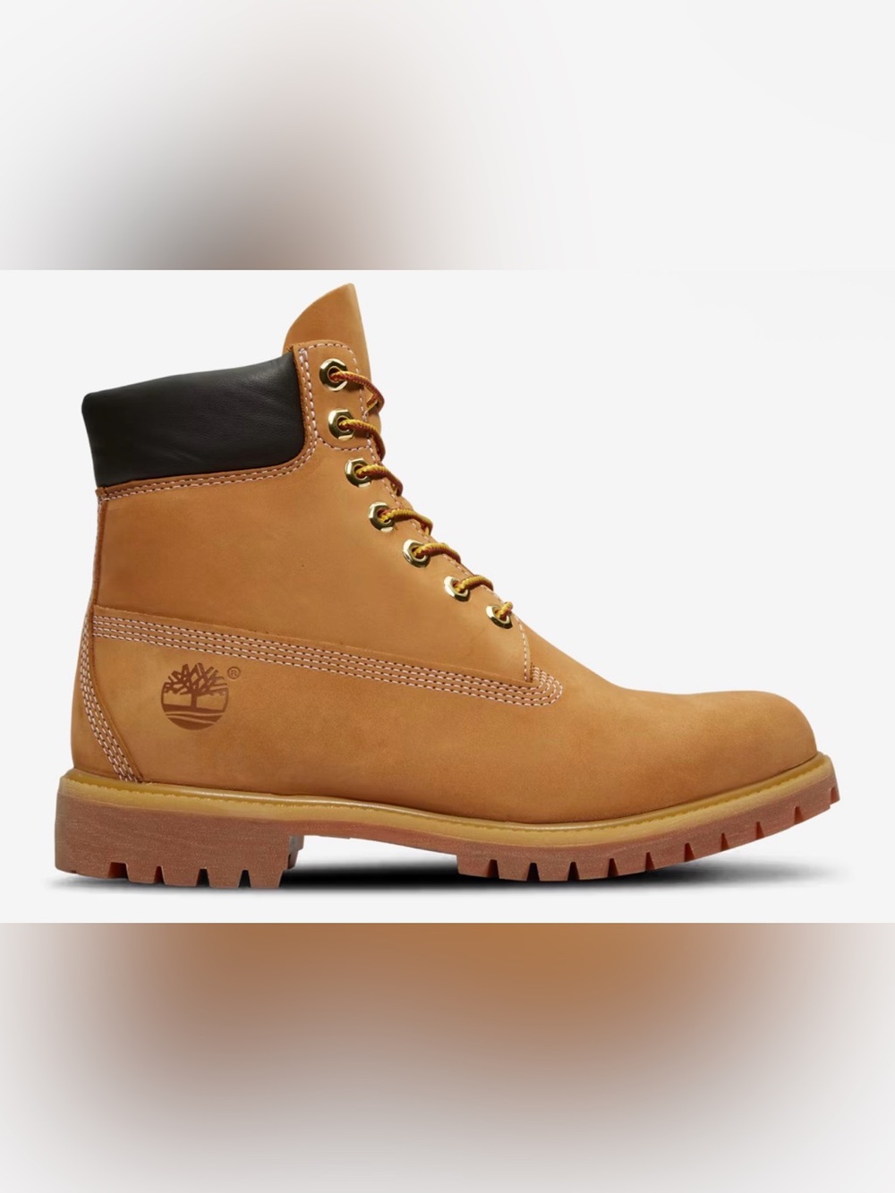 Timberland Wheat Nubuck 6-Inch Lace-Up Work Boot with Black Collar